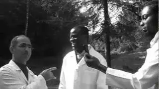 Hospital Or Factory Job - Bush Doctors Series