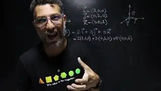 Algebra linear: os vetores i, j e k e a base can&ocirc;nica do R3.