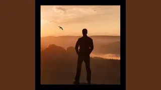 One Day I Knew You'd Fly