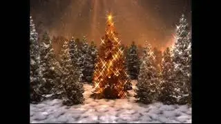 Sky Christmas Scenes - Christmas Trees But A Slightly Different Resolution
