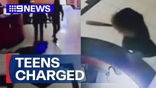 Two charged after brothel owner allegedly assaulted | 9 News Australia