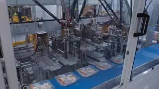 Meeting High-Speed Packing Demands with Flexible Automation from OMRON | CP Foods & Gripple