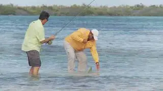 FLY FISHING for Bonefish in Cuba