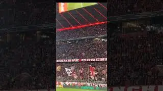 Bayern Munich Ultras The Best fans 🔥❤️ #football #bayrenmunich