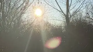 Winter days
