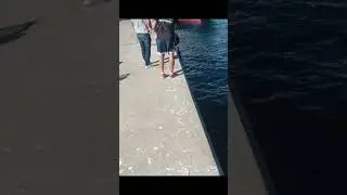 Pescando en los muelles bonitos y gallinetas xxl