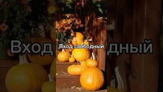 Тыквенный фестиваль в Шато Пино!🐌🎃 ВХОД СВОБОДНЫЙ! 27 октября в 14:00