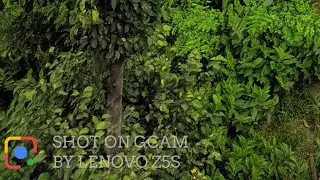 Добавить водяной знак на камеру Gcam / Google Camera или любую другую камеру телефона. | как добавить водяной знак на камеру Gcam