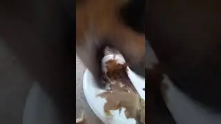 my dog eating big bird bones and meat