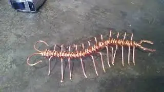 copper wire animal art denver