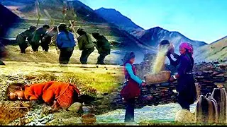 Harvesting Season / The Golden Era II  उवा काट्ने मौसम  II EXPLORING UPPER DOLPO NEPAL VIDEO -11