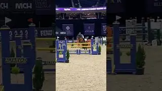 Mylord Manolito NRW - das erfolgreichste deutsche Springpony