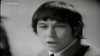 The Animals - It Aint Me, Babe