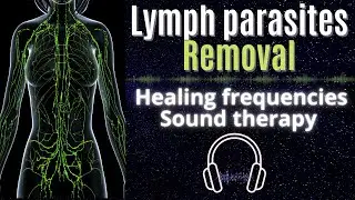 Lymphatic Parasites Cleanse | Rife Frequency to Kill Parasites | Drainage & Detox Sound