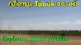 Al Haql| Al Ula| Saudi Arabia-Jordan border| Exploring Saudi Arabia Ep 37| Trip with family| Part 6