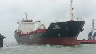 Despite the high wave tendency, the ship is not moving at all.He is doing his job in these waves.🚢⚓😊