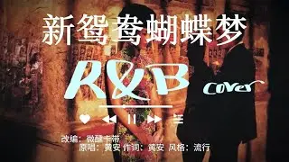 新鸳鸯蝴蝶梦｜R&B女声 cover