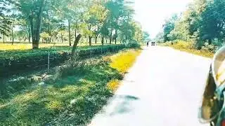 Tea Garden of Assam,#tinkhong t.e#short #Short vedeos #youtube short