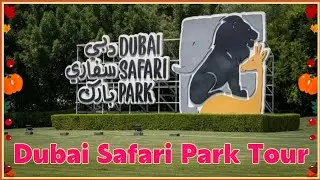 Dubai Safari Park Tour Full HD Video🐅🐊🦒দুবাই সাফারি পার্ক #dubaizoo #dubaisafari #দুবাইচিড়িয়াখানা 