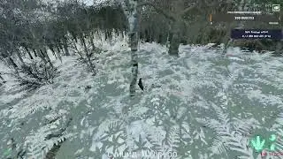 The Isle выживания динозавр сервер DYNASTICA