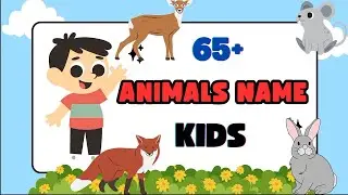 65+ Animals Name for Kids ll animals name kids educational video ll Nursery Rhymes kids educational