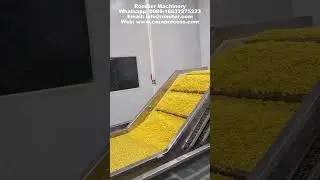 Frozen Sweet Corn Kernel Washing Blanching Frozen Machine