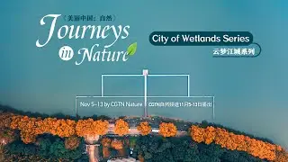 CGTN Nature to release new series 'Journeys in Nature: City of Wetlands'