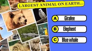 Earth Day Quiz: How Well Do You Know Our Planet? Trivia Quiz Game