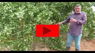 Toprak işleme yaparken ağa&ccedil; altına girilmemelidir.
