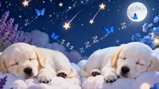 LIVE: Relaxing Piano Music 🎹 | Peaceful Background Music
