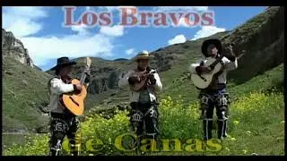 LOS BRAVOS DE CANAS Rumi chanccasccay (Huayno Cusco)
