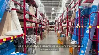 Why Generic  E-Commerce Fails &mdash; And How SAP Business One Does It Right!  B2B Integration