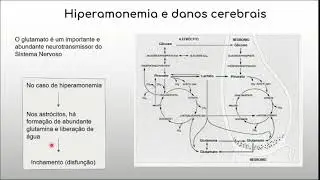 Defici&ecirc;ncia da Arginino Succinato Liase, um problema hiperamon&ecirc;mico