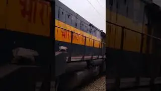 Golden Blue UBL 12075 WDG-4 Twins 🔥🔥🔥