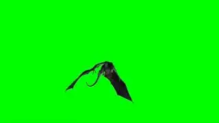 FREE GREEN SCREEN FLYING DRAGON | COPYRIGHT FREE