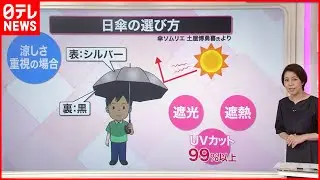 【解説】男性にも大人気…「日傘」を選ぶコツは？　傘ソムリエに聞く『知りたいッ！』