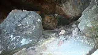 Cape Rock Sengi (Elephant shrew)1 - Duncan Macduff