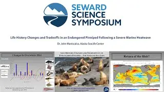 Dr. John Maniscalco: Life History Changes in an Endangered Pinniped Following a Marine Heatwave