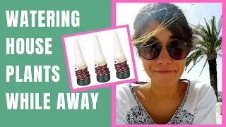 How to water plants while on vacation