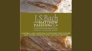 Matth&auml;us-Passion, BWV 244, Pt. 1: No. 3, Herzliebster Jesu, was hast du verbrochen (Chorus 1,...