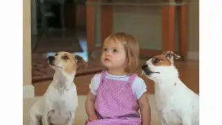In celebration of children and animals - Moments of Connection, the movie