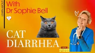 Cat Diarrhea - Learn about the signs and symptoms - What to do if your cat or kitten has diarrhoea