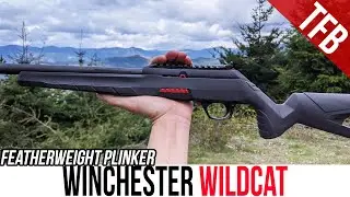 Обзор НОВОГО Winchester Wildcat: лёгкий плинкер
