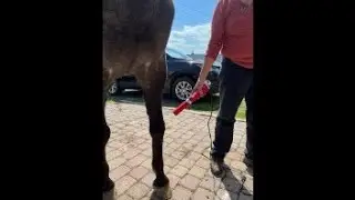 Iteracare Device Vs Bemer & Maga Wave Equine Review