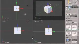 VizBi 2011 - Blender 2.56 Tutorial #4 - QuadView and Windows.mp4