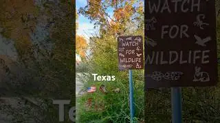 🦝 Texas Trailhead Scenery Windhaven #Nature #Hiking #Trails #USA #Texas #Wildlife #watch #birds