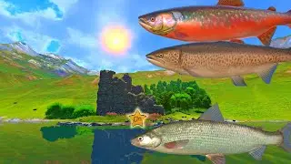 Trophy Powan Whitefish | Trophy Spot | Scotland Loch Maro | Fisher Online | Ep 60