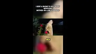 What happens when a drone meets a mother-in-law? 😂