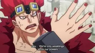 Luffy And Kidd Defeat Hippoman with Seastone