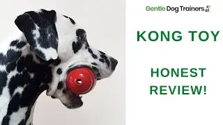 HONEST REVIEW The Classic Kong Toy